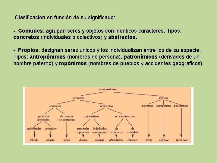 Clasificación en función de su significado: - Comunes: agrupan seres y objetos con idénticos