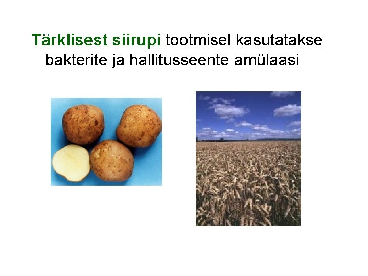 Tärklisest siirupi tootmisel kasutatakse bakterite ja hallitusseente amülaasi 