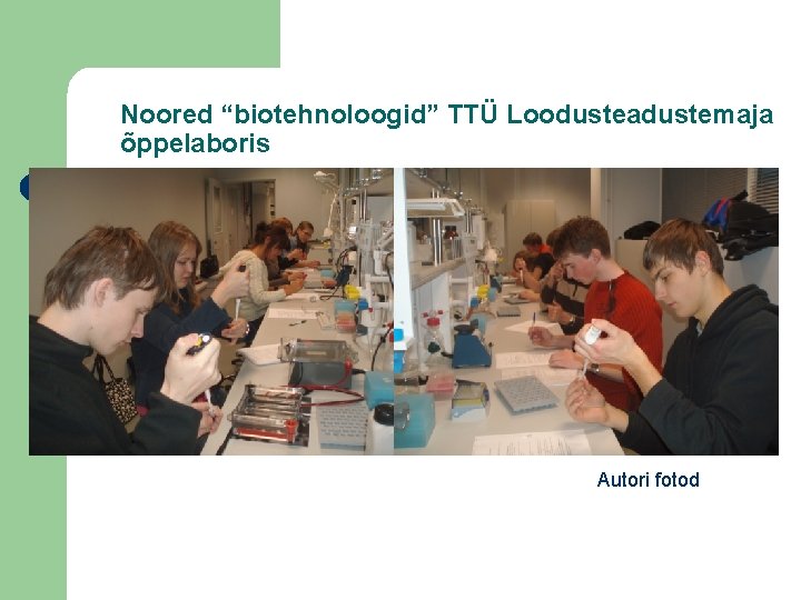 Noored “biotehnoloogid” TTÜ Loodusteadustemaja õppelaboris Autori fotod 