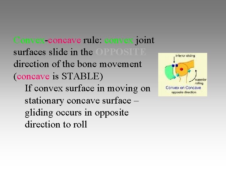 Convex-concave rule: convex joint surfaces slide in the OPPOSITE direction of the bone movement Convex-concave rule: convex joint surfaces slide in the OPPOSITE direction of the bone movement
