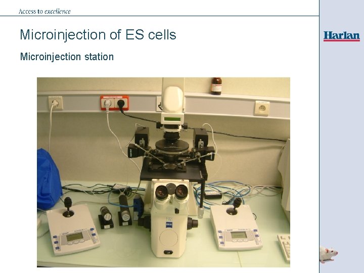 Microinjection of ES cells Microinjection station 