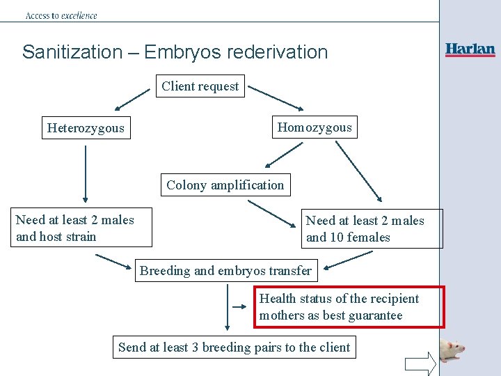 Sanitization – Embryos rederivation Client request Heterozygous Homozygous Colony amplification Need at least 2