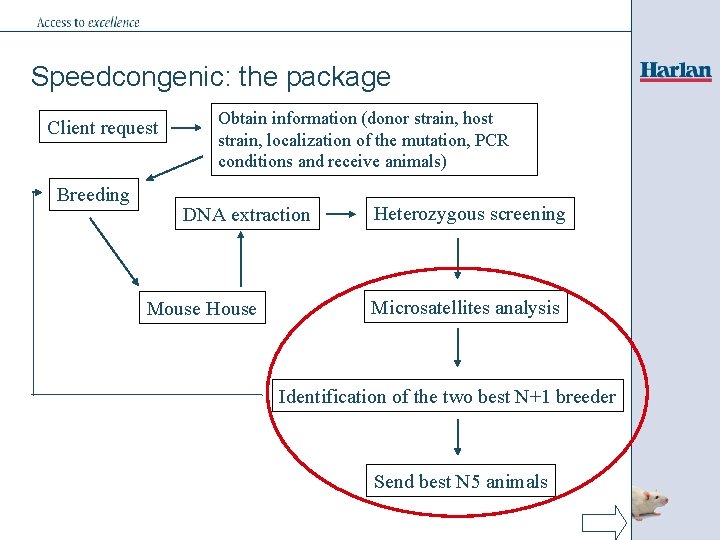 Speedcongenic: the package Client request Breeding Obtain information (donor strain, host strain, localization of