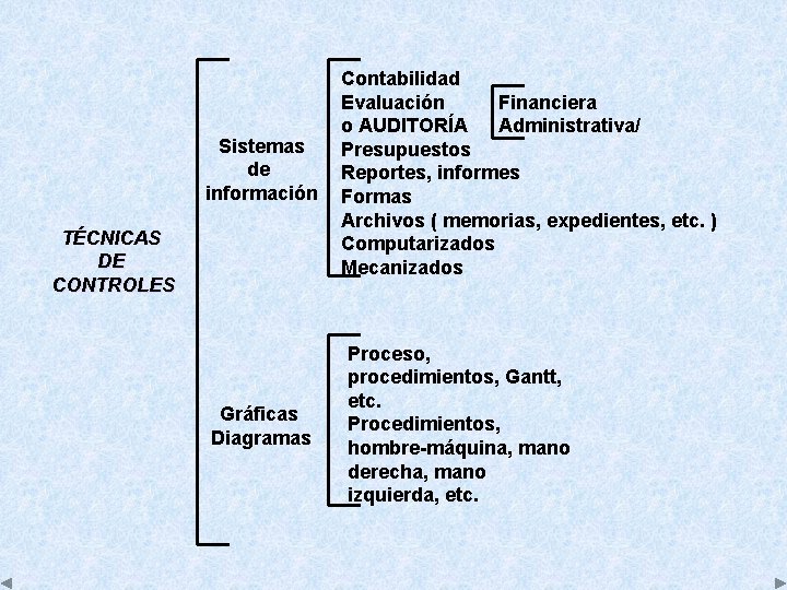 Sistemas de información TÉCNICAS DE CONTROLES Gráficas Diagramas Contabilidad Evaluación Financiera o AUDITORÍA Administrativa/