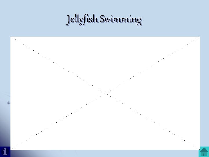 Jellyfish Swimming 