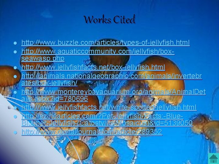 Works Cited l l l l http: //www. buzzle. com/articles/types-of-jellyfish. html http: //www. aquaticcommunity.