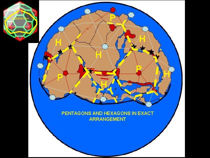 P GONDWANA H H H P P H PENTAGONS AND HEXAGONS IN EXACT ARRANGEMENT