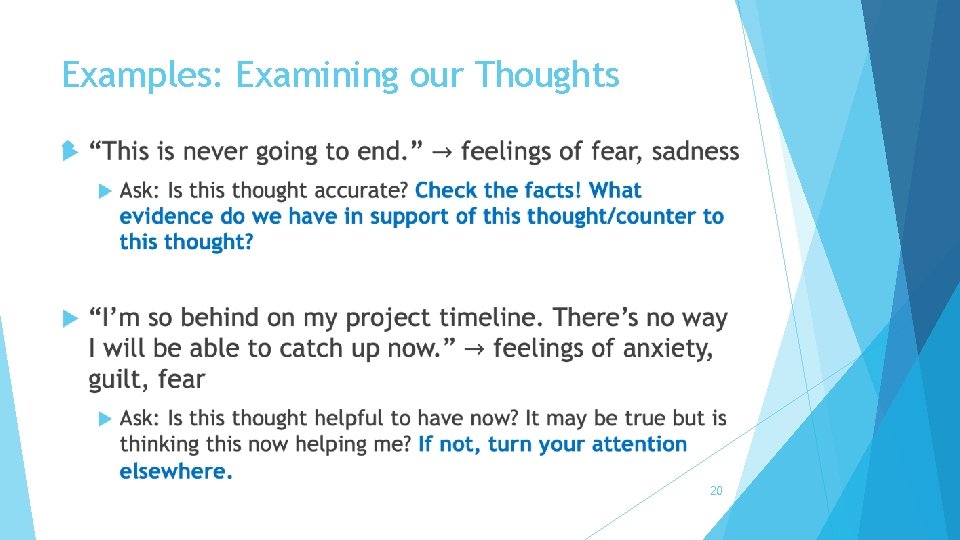 Examples: Examining our Thoughts 20 