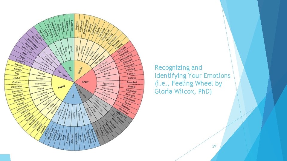 Recognizing and Identifying Your Emotions (i. e. , Feeling Wheel by Gloria Wilcox, Ph.