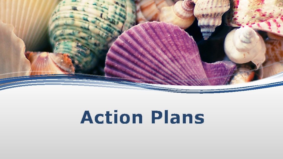 Action Plans 