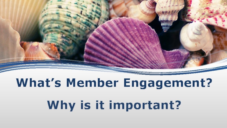 What’s Member Engagement? Why is it important? 