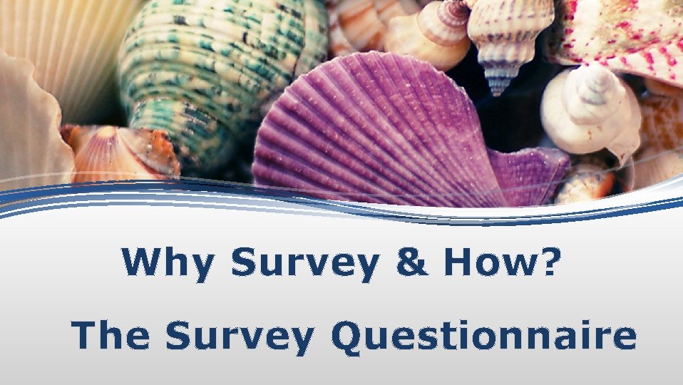 Why Survey & How? The Survey Questionnaire 