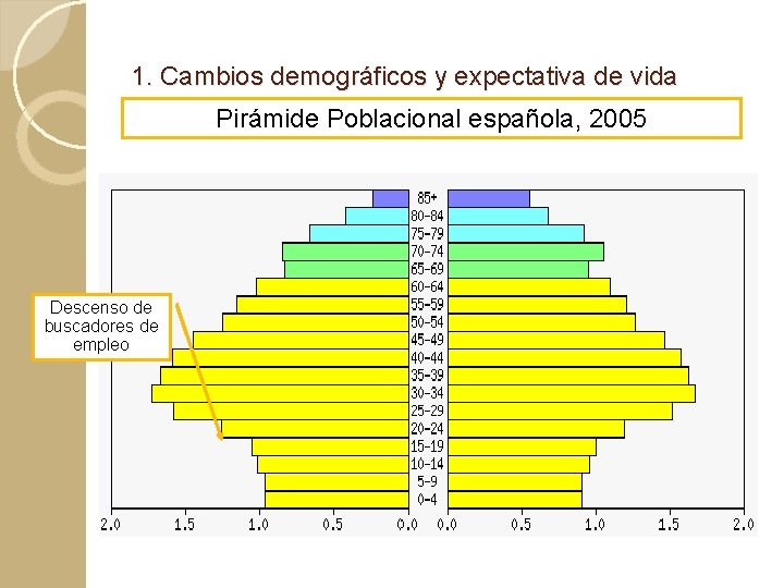 1. Cambios demográficos y expectativa de vida Pirámide Poblacional española, 2005 Descenso de buscadores