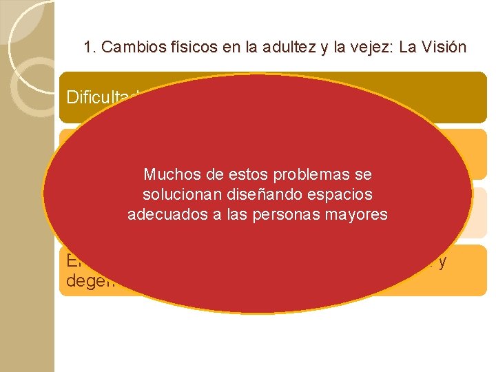 1. Cambios físicos en la adultez y la vejez: La Visión Dificultad para distinguir