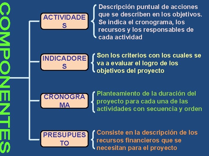 ACTIVIDADE S Descripción puntual de acciones que se describen en los objetivos. Se indica