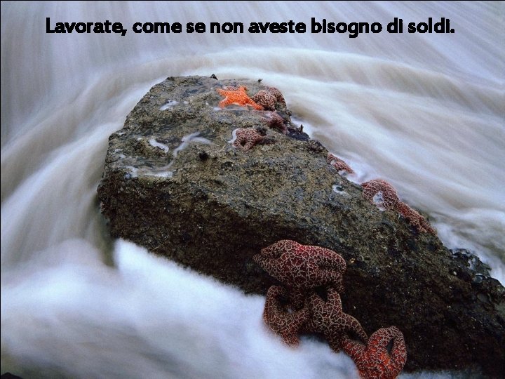 Lavorate, come se non aveste bisogno di soldi. 
