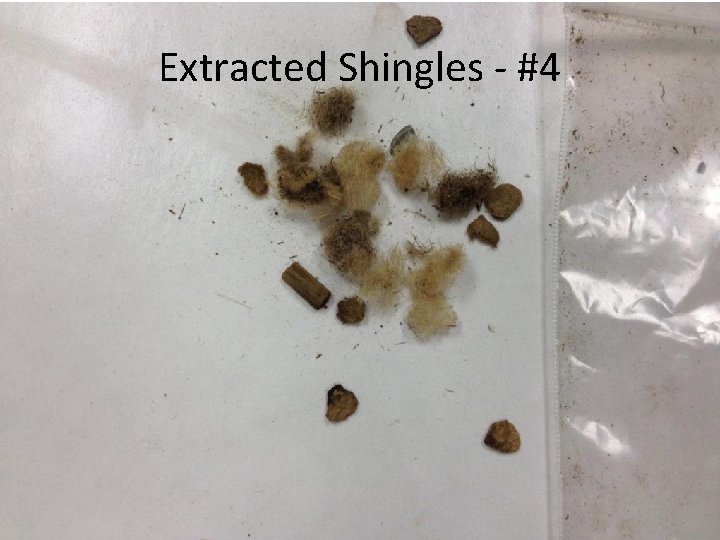 Extracted Shingles - #4 