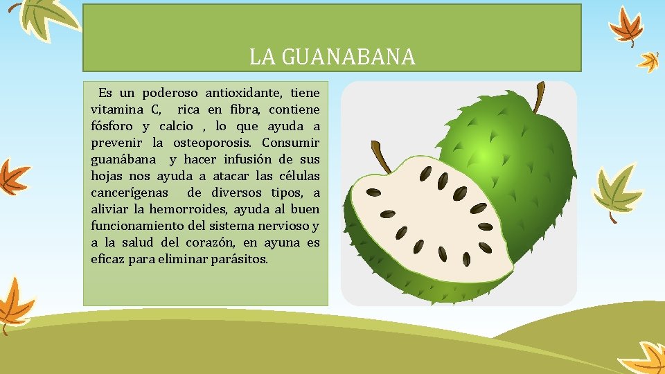 LA GUANABANA Es un poderoso antioxidante, tiene vitamina C, rica en fibra, contiene fósforo