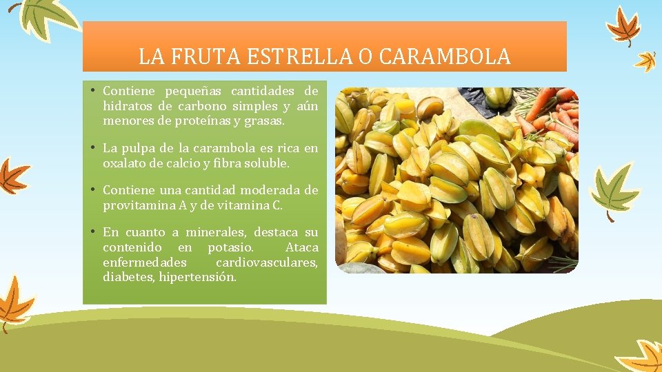 LA FRUTA ESTRELLA O CARAMBOLA • Contiene pequeñas cantidades de hidratos de carbono simples
