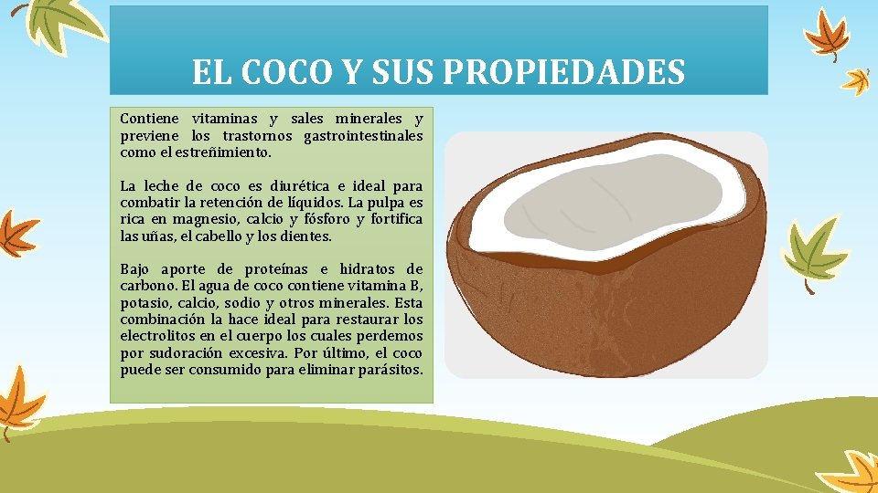 EL COCO Y SUS PROPIEDADES Contiene vitaminas y sales minerales y previene los trastornos