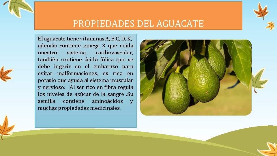 PROPIEDADES DEL AGUACATE El aguacate tiene vitaminas A, B, C, D, K, además contiene