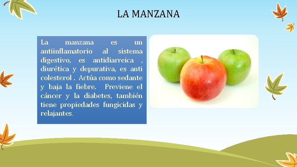 LA MANZANA La manzana es un antiinflamatorio al sistema digestivo, es antidiarreica , diurética