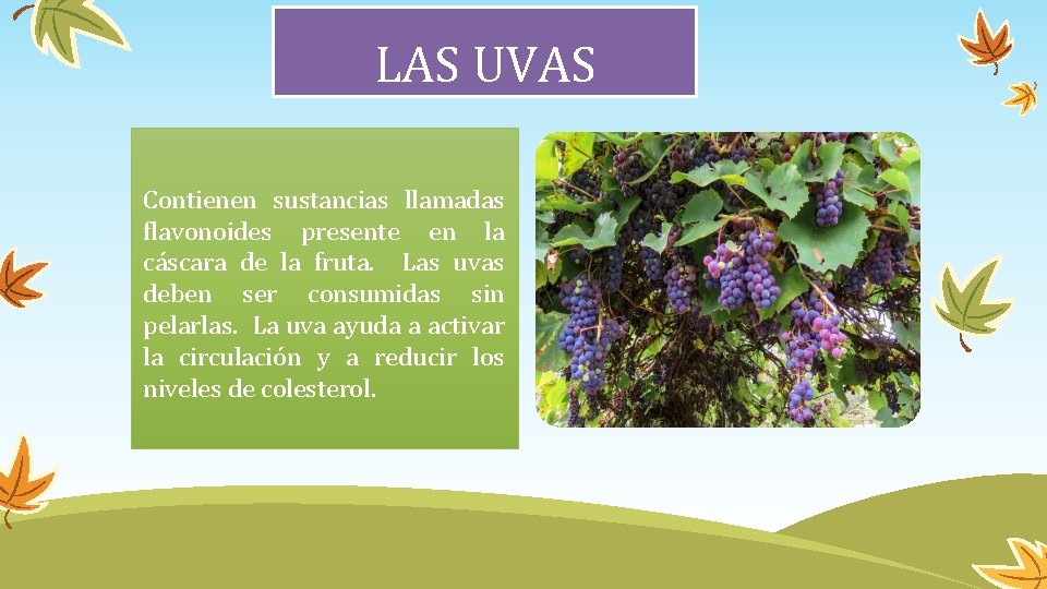 LAS UVAS Contienen sustancias llamadas flavonoides presente en la cáscara de la fruta. Las