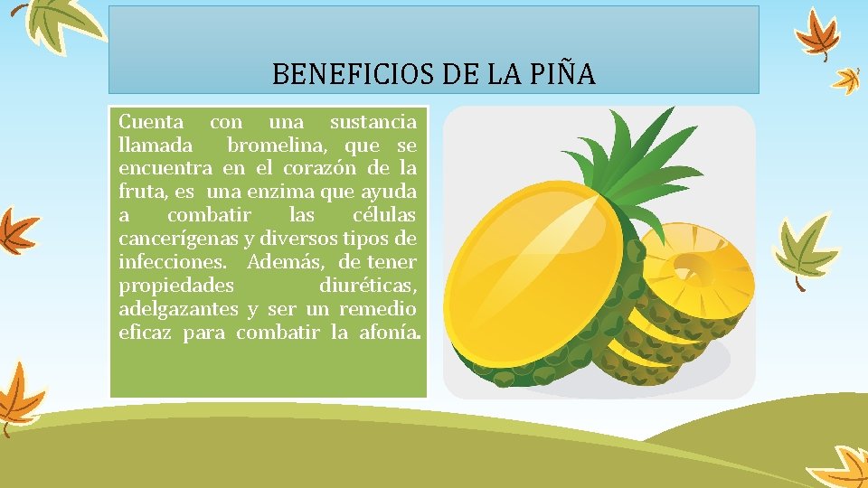 BENEFICIOS DE LA PIÑA Cuenta con una sustancia llamada bromelina, que se encuentra en