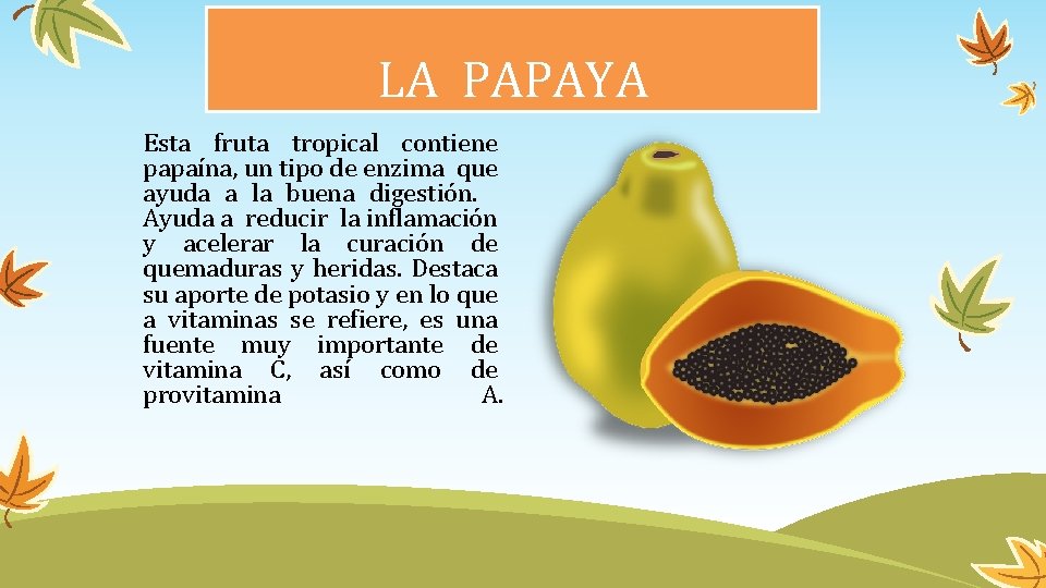 LA PAPAYA Esta fruta tropical contiene papaína, un tipo de enzima que ayuda a