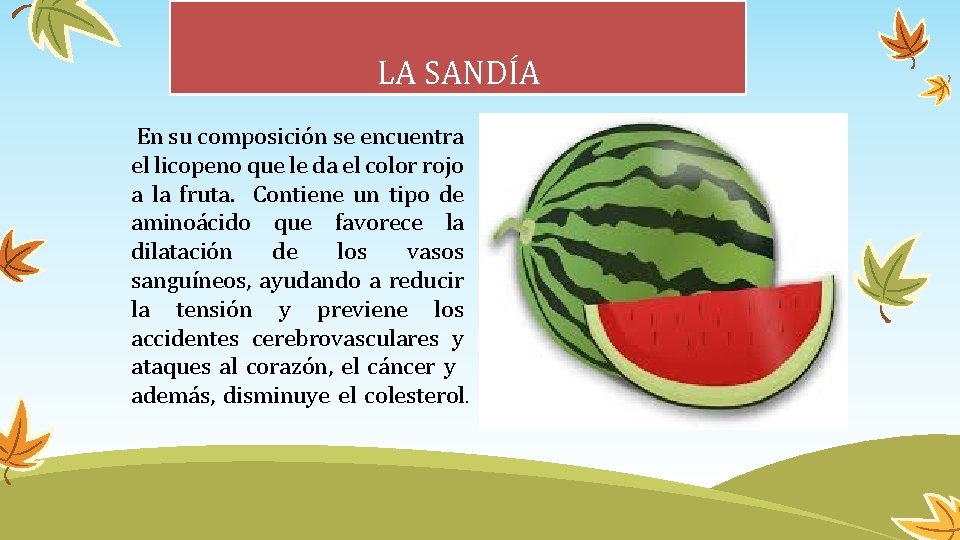 LA SANDÍA En su composición se encuentra el licopeno que le da el color