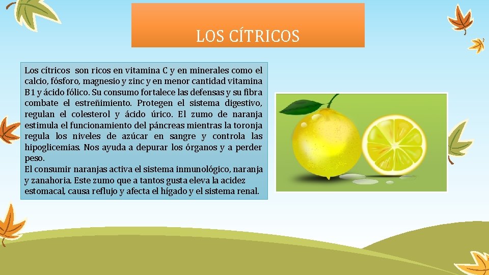LOS CÍTRICOS Los cítricos son ricos en vitamina C y en minerales como el
