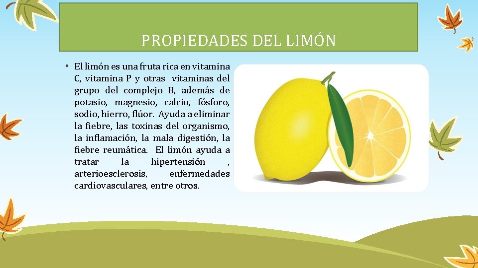 PROPIEDADES DEL LIMÓN • El limón es una fruta rica en vitamina C, vitamina