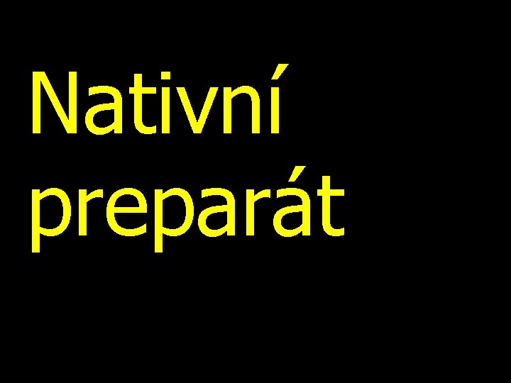 Nativní preparát 