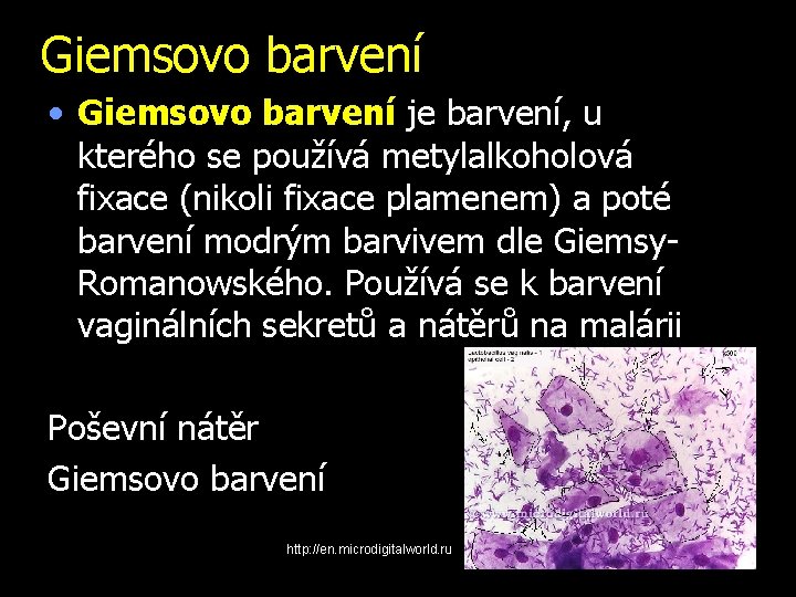 Giemsovo barvení • Giemsovo barvení je barvení, u kterého se používá metylalkoholová fixace (nikoli