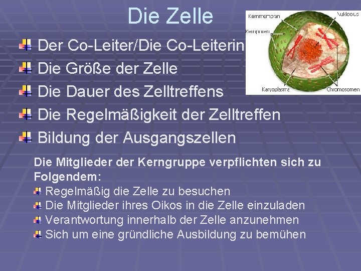 Die Zelle Der Co-Leiter/Die Co-Leiterin Die Größe der Zelle Die Dauer des Zelltreffens Die