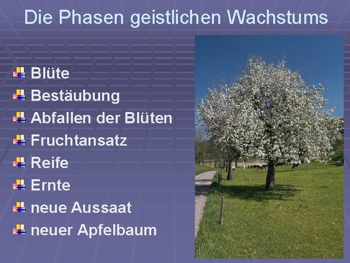 Die Phasen geistlichen Wachstums Blüte Bestäubung Abfallen der Blüten Fruchtansatz Reife Ernte neue Aussaat