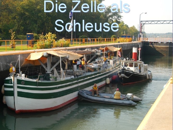 Die Zelle als Schleuse 