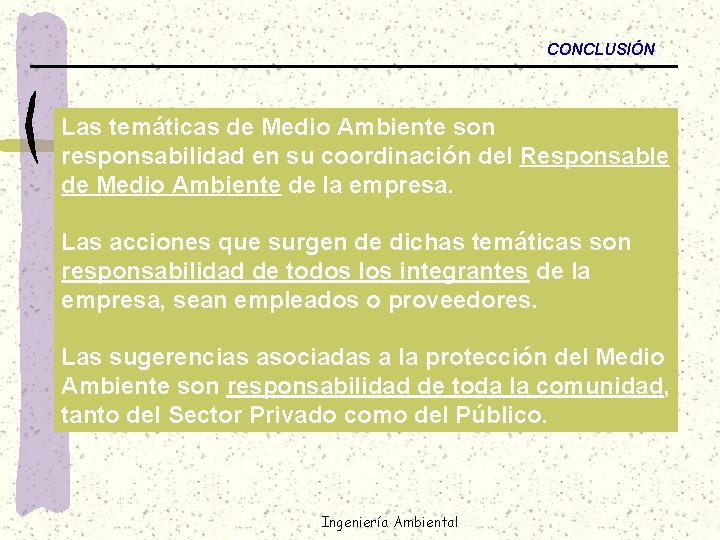 CONCLUSIÓN Las temáticas de Medio Ambiente son responsabilidad en su coordinación del Responsable de