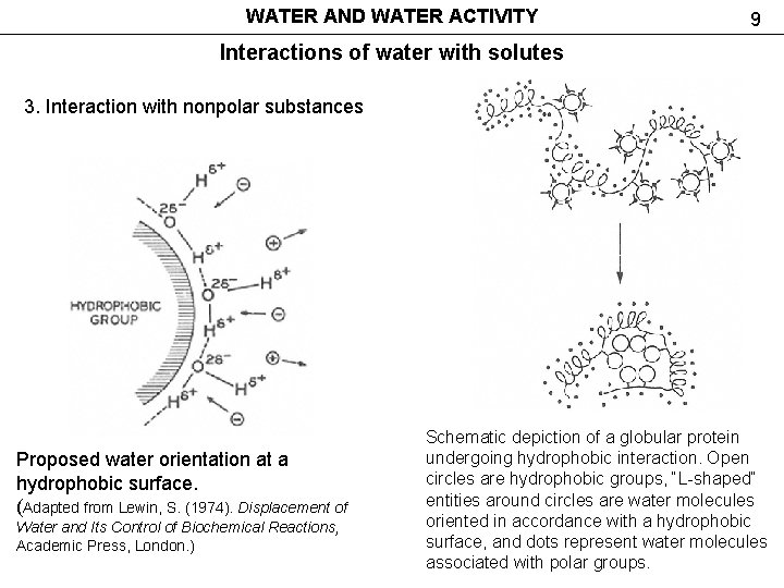 WATER AND WATER ACTIVITY 9 Interactions of water with solutes 3. Interaction with nonpolar WATER AND WATER ACTIVITY 9 Interactions of water with solutes 3. Interaction with nonpolar