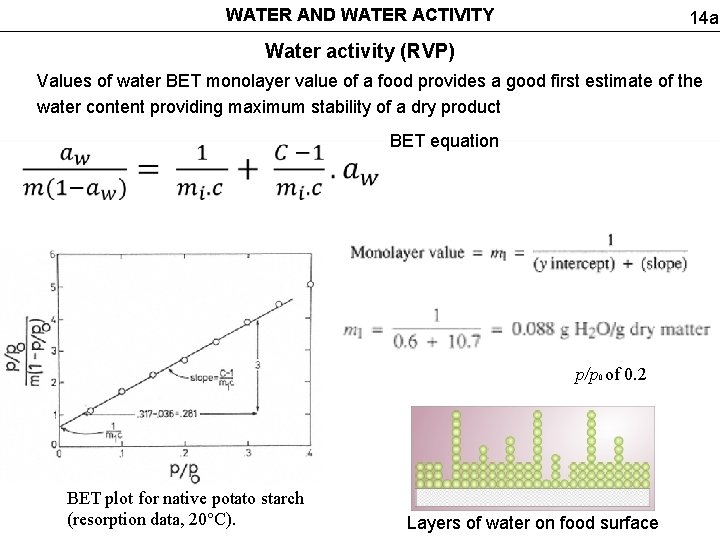 WATER AND WATER ACTIVITY 14 a Water activity (RVP) Values of water BET monolayer