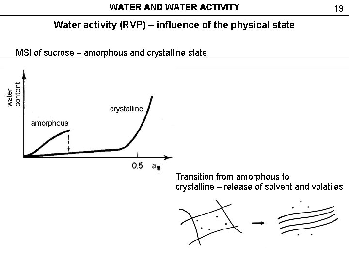 WATER AND WATER ACTIVITY 19 Water activity (RVP) – influence of the physical state