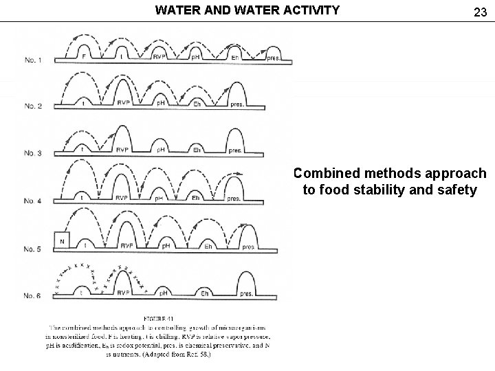 WATER AND WATER ACTIVITY 23 Combined methods approach to food stability and safety 