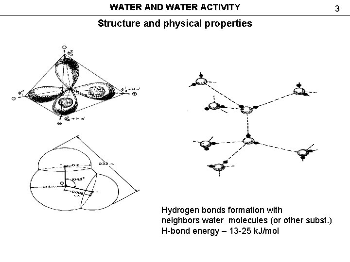 WATER AND WATER ACTIVITY Structure and physical properties Hydrogen bonds formation with neighbors water WATER AND WATER ACTIVITY Structure and physical properties Hydrogen bonds formation with neighbors water