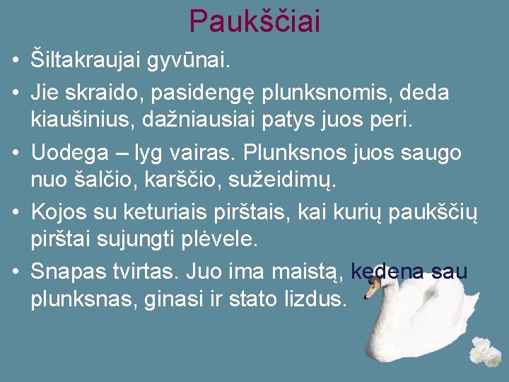 Paukščiai • Šiltakraujai gyvūnai. • Jie skraido, pasidengę plunksnomis, deda kiaušinius, dažniausiai patys juos