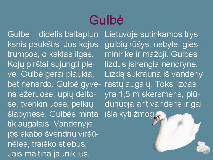 Gulbė – didelis baltaplunksnis paukštis. Jos kojos trumpos, o kaklas ilgas. Kojų pirštai sujungti