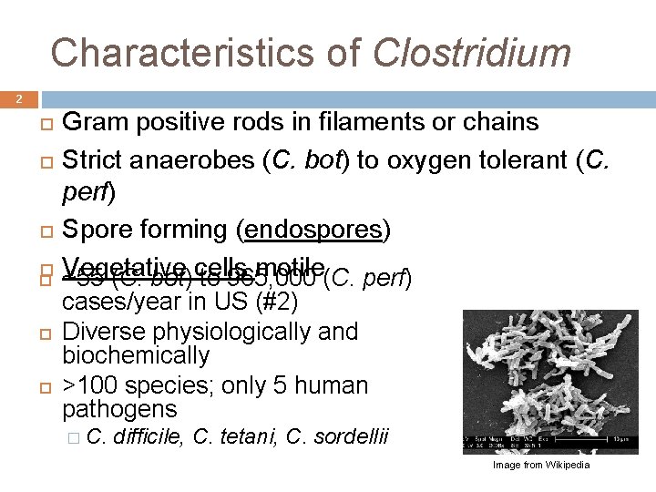 Characteristics of Clostridium 2 Gram positive rods in filaments or chains Strict anaerobes (C.