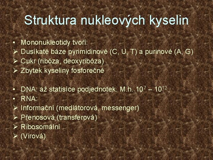 Struktura nukleových kyselin • Ø Ø Ø Mononukleotidy tvoří: Dusíkaté báze pyrimidinové (C, U,