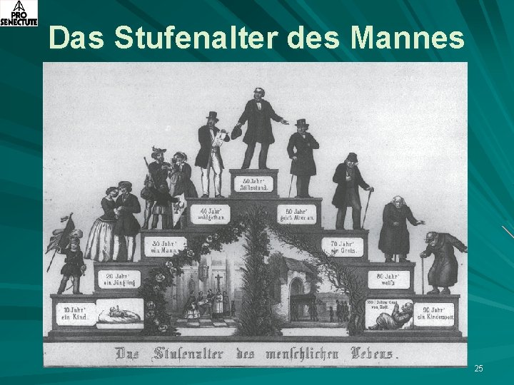 Das Stufenalter des Mannes 25 