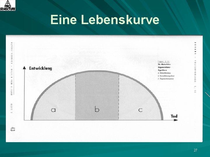 Eine Lebenskurve 27 