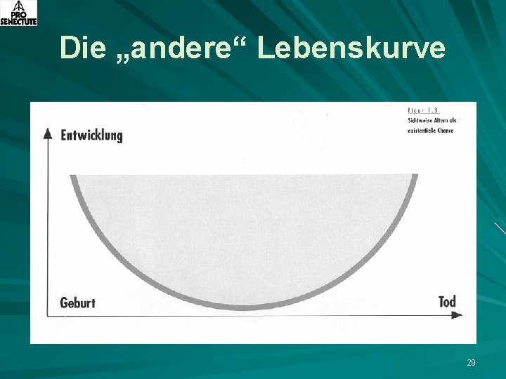 Die „andere“ Lebenskurve 29 